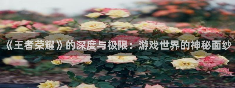 辉达娱乐平台官网入口：《王者荣耀》的深度与极限：游戏世界的神
