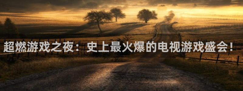 辉达娱乐平台官网登录：超燃游戏之夜：史上最火爆的电视游戏盛会