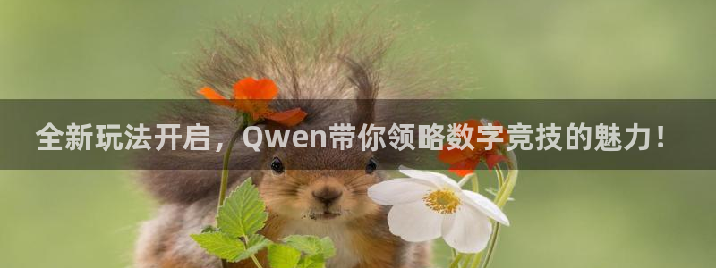 辉达娱乐注册账号：全新玩法开启，Qwen带你领略数字竞技的魅